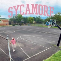 SYCAMORE - Nic D