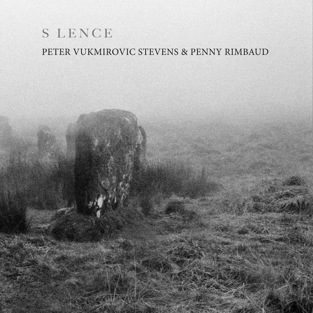 Обложка альбома «Of Summer's Passing - Single» — Peter Vukmirovic Stevens & Penny Rimbaud