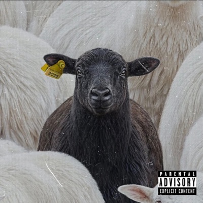 Black Sheep - Single