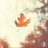 Deciduous (feat. Jake Still) - Single - Glimlip, Louk & Søren Søstrom