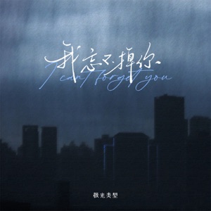 我忘不掉你 - Single