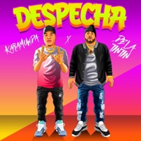 Despe (feat. Kara Muwda) - Single - De La Tin Tin
