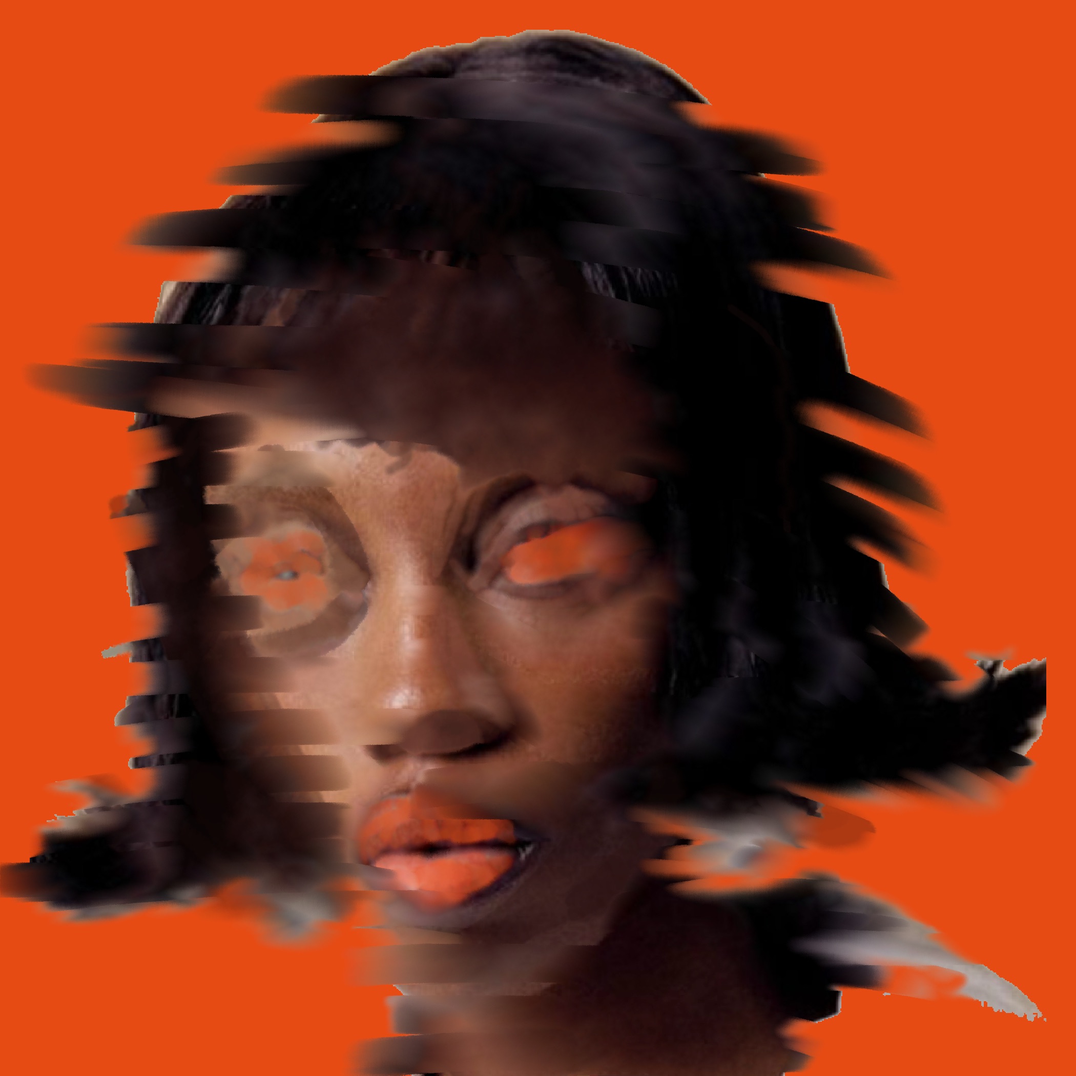 Never Give Up - Brooklyn Funk Essentials