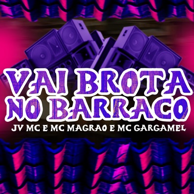 Vai Brotar no Barraco (feat. JV MC) - Single