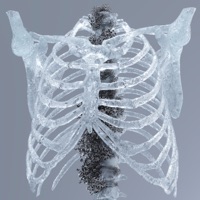 To Trajadão (Extended Mix) - Single - Goom Gum