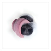 RELAY RELAY!! - P.O.S, Dwynell Roland & Yata