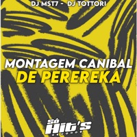 Montagem Canibal de Perereka - Single - DJ TOTTORI, DJ MST7 & Só Hits Records