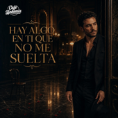 Hay Algo en Ti Que No Me Suelta song art