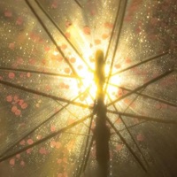 the sun don't seem that bright - Single - ivory falls