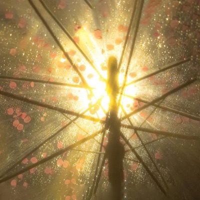 the sun don't seem that bright - Single