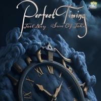 Perfect Timing (feat. Joel Ney) - Single - Sun Of John
