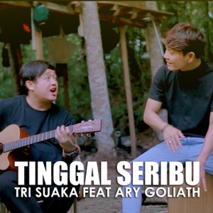Tinggal Seribu Album Art