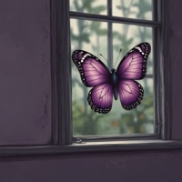 Эффект бабочки - Single - Брухо