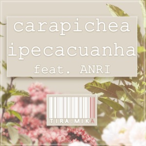 Carapichea Ipecacuanha - Single