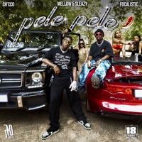 Pele Pele - Single - Ch'cco, Focalistic & Mellow & Sleazy