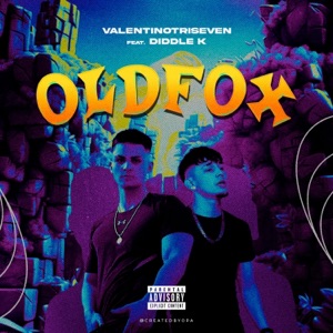 OLD FOX (feat. Diddle K)
