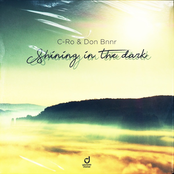 Shining in the Dark - Single