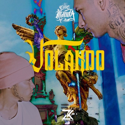 Volando - Single