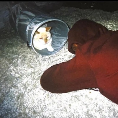 Not a Rapper 3 (Reloaded)