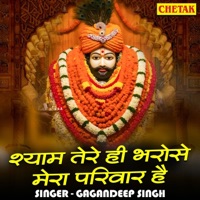 Shyam Tere Hi Bharose Mera Parivar Hai - Single - Gagandeep Singh