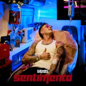 Sentimento artwork