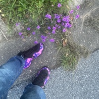 insalubrious thoughts - Single - vairrin