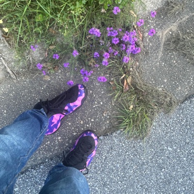 insalubrious thoughts - Single