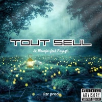 Tout seul (feat. Fayazer) - Single - Le Moonjor