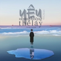 Yêu Nhưng Không Thể Lấy (Lofi Version) - Single - NAM