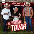Mayra Tovar Wilmer Tovar Fernando Tovar / La Trilogía / #patiosonoro