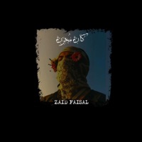 كان مُحزن - Single - زيد فيصل