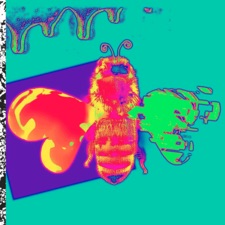 Soft Kill - Cullerton Girls