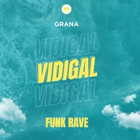 VIDIG4L (FUNK RAVE) - Single - GRANA