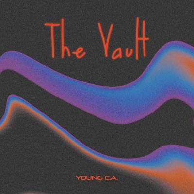 The Vault - Single