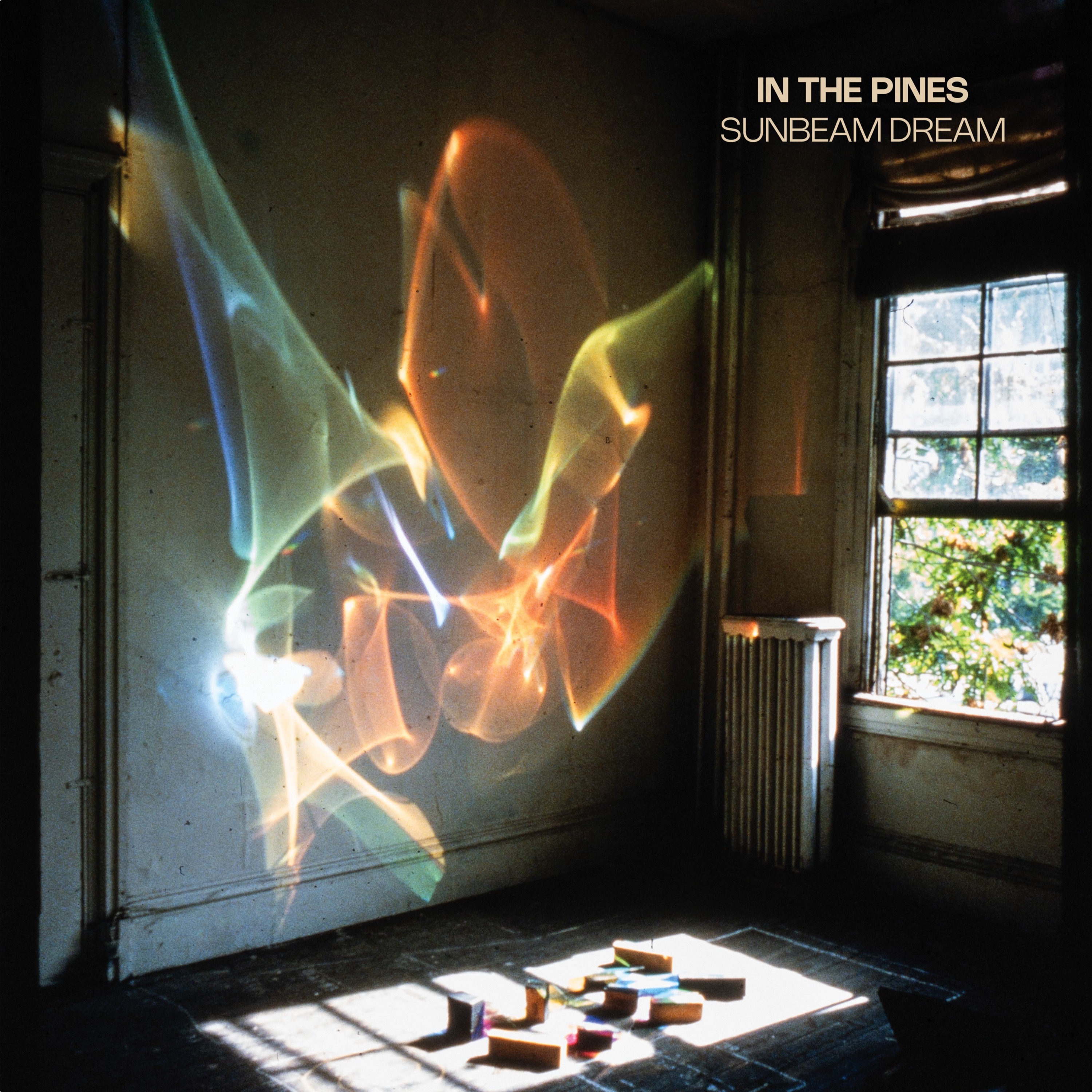 In the Pines - Reticon : Sunbeam Dream