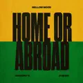 Home or Abroad