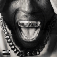 Turn Up Ivoire 2 - D14