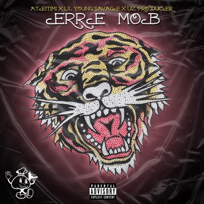 CHAMAQUITO (Special Version) (feat. Ateitimi & Lil young savage) - Single