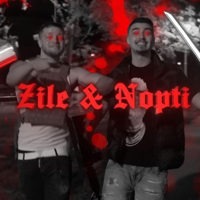 Zile & Nopti (feat. Maili) - Single