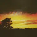 Sweet August Night