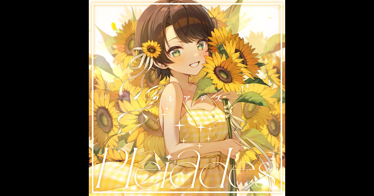 【新品未開封】大空スバル 1st Album『Pleiades』 未開封】大空スバル 1st Album Pleiades ランダムトレーディング