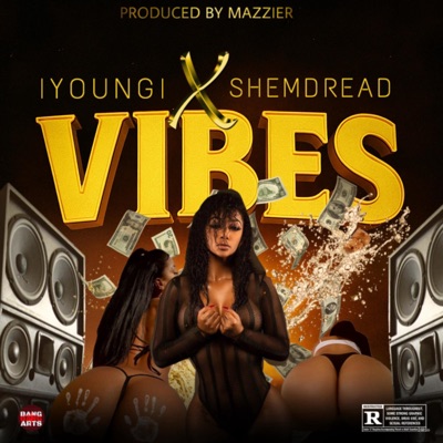 Vibes (feat. Shemdread) - Single