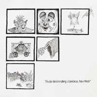 Spiders