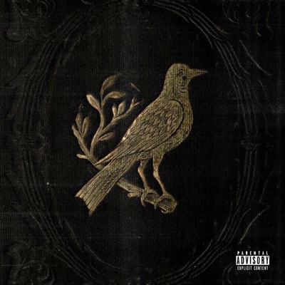 Después de las Heridas (feat. Nila Medina, Trifásiko, ZEN P, Cerrajero & WAKO RUTINA) - Single