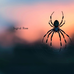Spider Medicine Ceremony