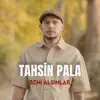 Beni Alsinlar
