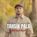 Beni Alsinlar