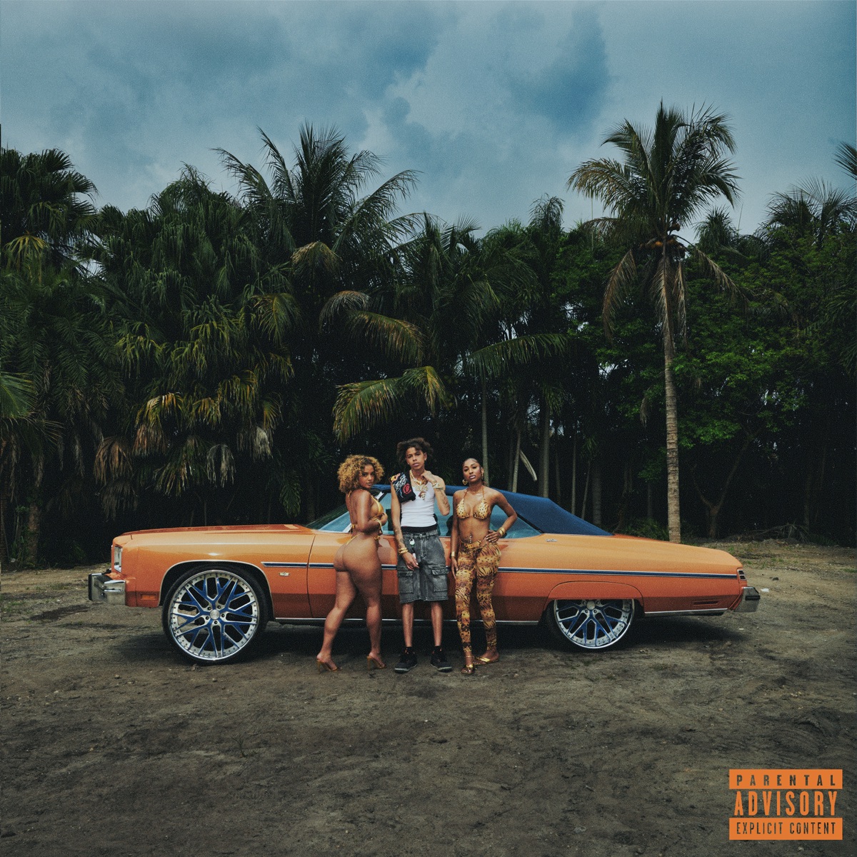 Luh Tyler - Florida Boy (2025) [iTunes Plus AAC M4A]-新房子