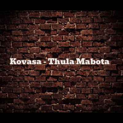 Thula Mabota - Single