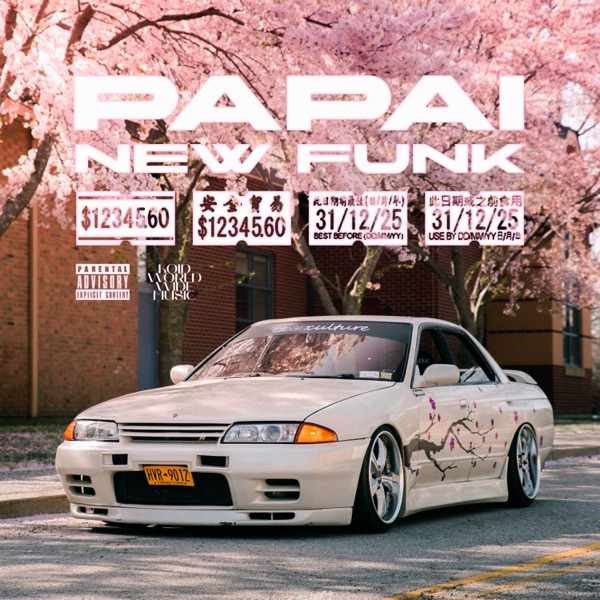 PAPAI NEW FUNK - Single